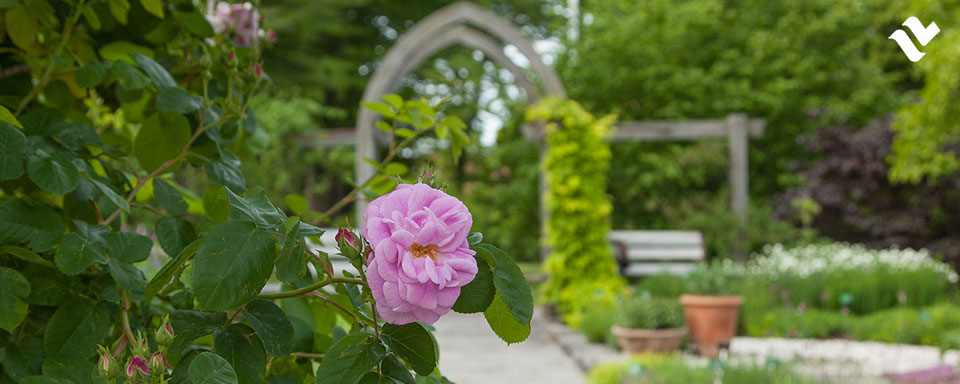 Tutustu viehättävään Kasvitieteelliseen puutarhaan!